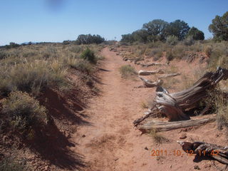 118 7qc. Canyonlands National Park - Murphy run