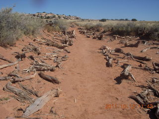 119 7qc. Canyonlands National Park - Murphy run