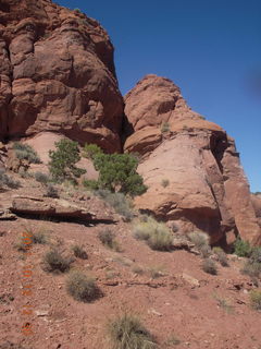 147 7qc. Canyonlands National Park - Alcove Springs