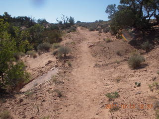 152 7qc. Canyonlands National Park - Alcove Springs
