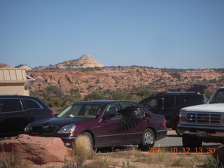 171 7qc. Canyonlands National Park - Green River overlook - raven in flight