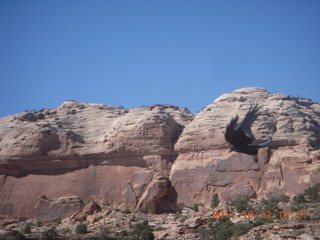 173 7qc. Canyonlands National Park - Green River overlook
