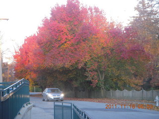 Cheltenham High School entrance