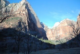 154 7sf. Zion National Park