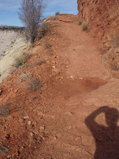 186 7sf. Zion National Park - Observation Point hike