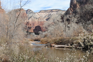 260 7sf. Zion National Park - Virgin River