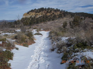 263 7sf. Zion National Park