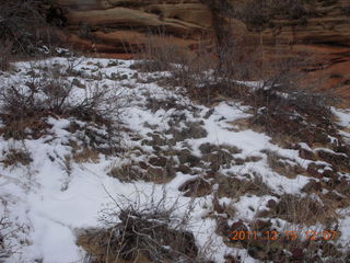 352 7sf. Zion National Park - Observation Point hike