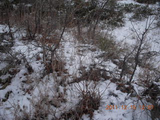 353 7sf. Zion National Park - Observation Point hike