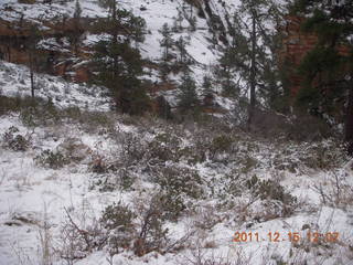 354 7sf. Zion National Park - Observation Point hike