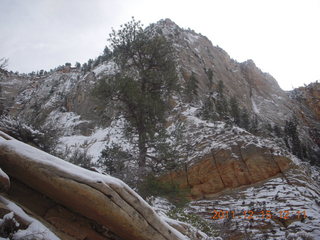 370 7sf. Zion National Park - Observation Point hike