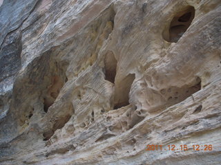 382 7sf. Zion National Park - Observation Point hike