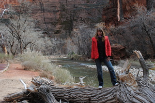 411 7sf. Zion National Park -  Virgin River - Olga