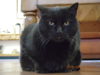 cool spiral spinner at Flagstaff Airport (FLG)