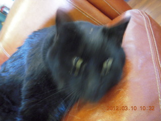 solid snow in the window at Flagstaff Airport (FLG)