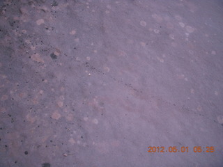 16 7x1. Canyonlands Murphy hike - ants crawling in a line