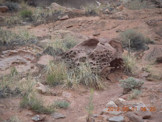 43 7x1. Canyonlands Murphy hike
