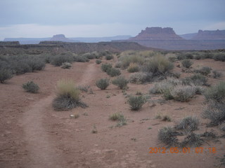 59 7x1. Canyonlands Murphy hike