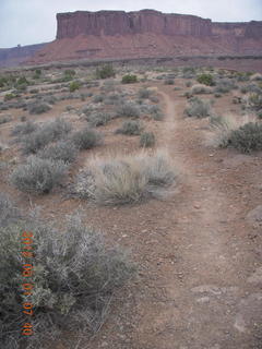 72 7x1. Canyonlands Murphy hike