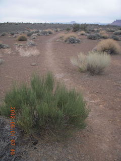 73 7x1. Canyonlands Murphy hike