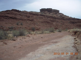 126 7x1. Canyonlands Murphy hike