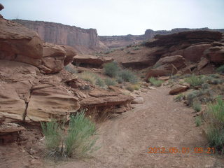 146 7x1. Canyonlands Murphy hike