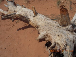 177 7x1. Canyonlands Murphy hike