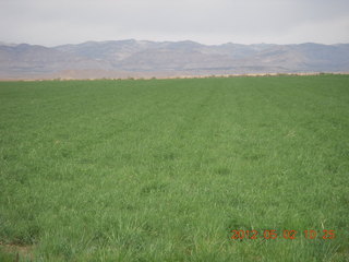 92 7x2. Mack Mesa run