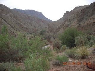 245 7x2. Onion Creek drive