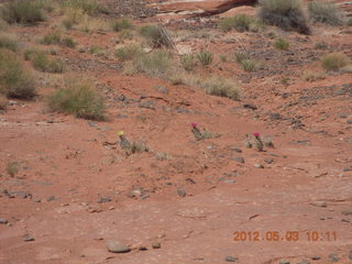 153 7x3. Harrah Pass drive back