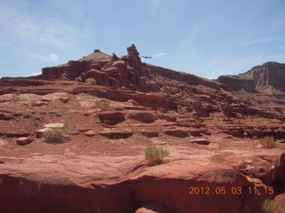 171 7x3. Harrah Pass drive back - bird in flight