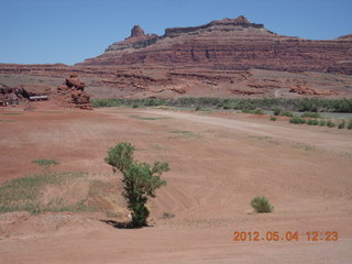 166 7x4. Caveman Ranch