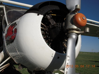 224 7x4. Mack Mesa - WilgaBeast