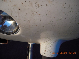 253 7x4. bugs and grass on N8377W