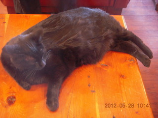 decals and patches at Flagstaff (FLG)