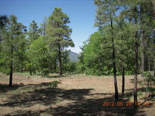 19 7xu. Lowell Observatory