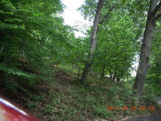 Cheltenham XC Curtis Arboretum - race results