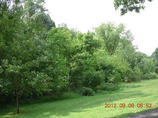 Cheltenham XC Curtis Arboretum - Coach Sexton