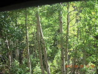 162 81v. Durango-Silverton Narrow Gauge Railroad