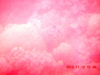 193 83c. (aaphoto) Great Barrier Reef tour - semi-sub