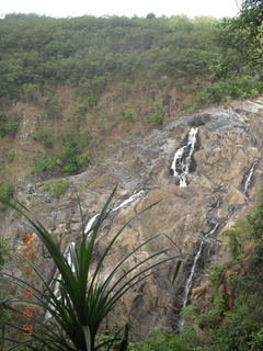 196 83f. rain forest tour - Skyrail stop 1 - Barron Falls