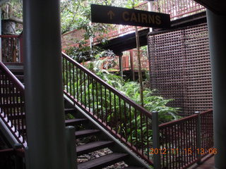 283 83f. rain forest tour - Skyrail stop 2