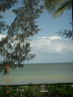 335 83f. rain forest tour - Skyrail final stop