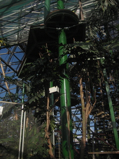 120 83h. Jeremy C photo - Cairns, Australia, casino ZOOm