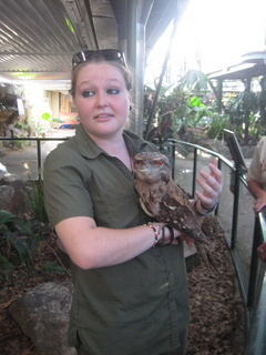 129 83h. Jeremy C photo - Cairns, Australia, casino ZOOm - frogmouth feeding