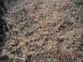 Tjapukai Aboriginal Cultural Park - spear throwing