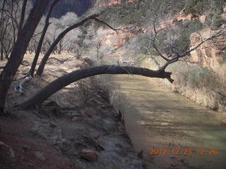 113 84p. Zion National Park - Virgin River