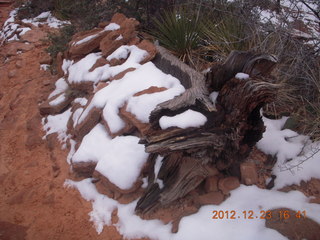 260 84p. Zion National Park - Angels Landing hike - West Rim trail