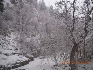 74 84q. Zion National Park - cloudy, foggy Observation Point hike