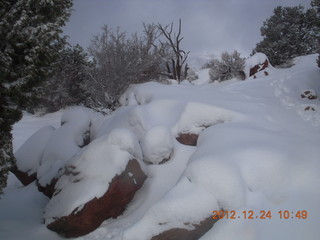 135 84q. Zion National Park - cloudy, foggy Observation Point hike - at the top